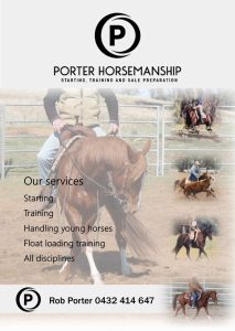 Horse starting and training