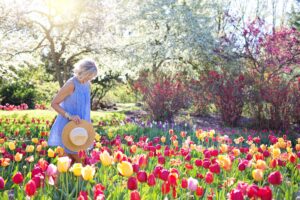 New England Garden Festival